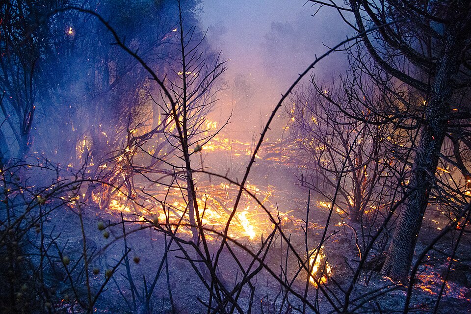 El incendio más duradero de la historia reciente de Navarra: por qué el fuego de Peña Gazpar se resiste a desaparecer